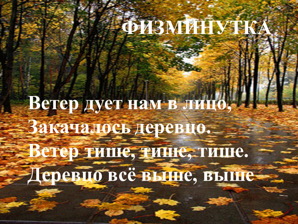 Дует ветер нам в лицо закачалось деревцо. Ветер дует нам в лицо закачалось деревцо физминутка текст. Физминутка осень дует дует ветер. Физминутка осень дует нам в лицо. Картинки ветер дует нам в лицо.