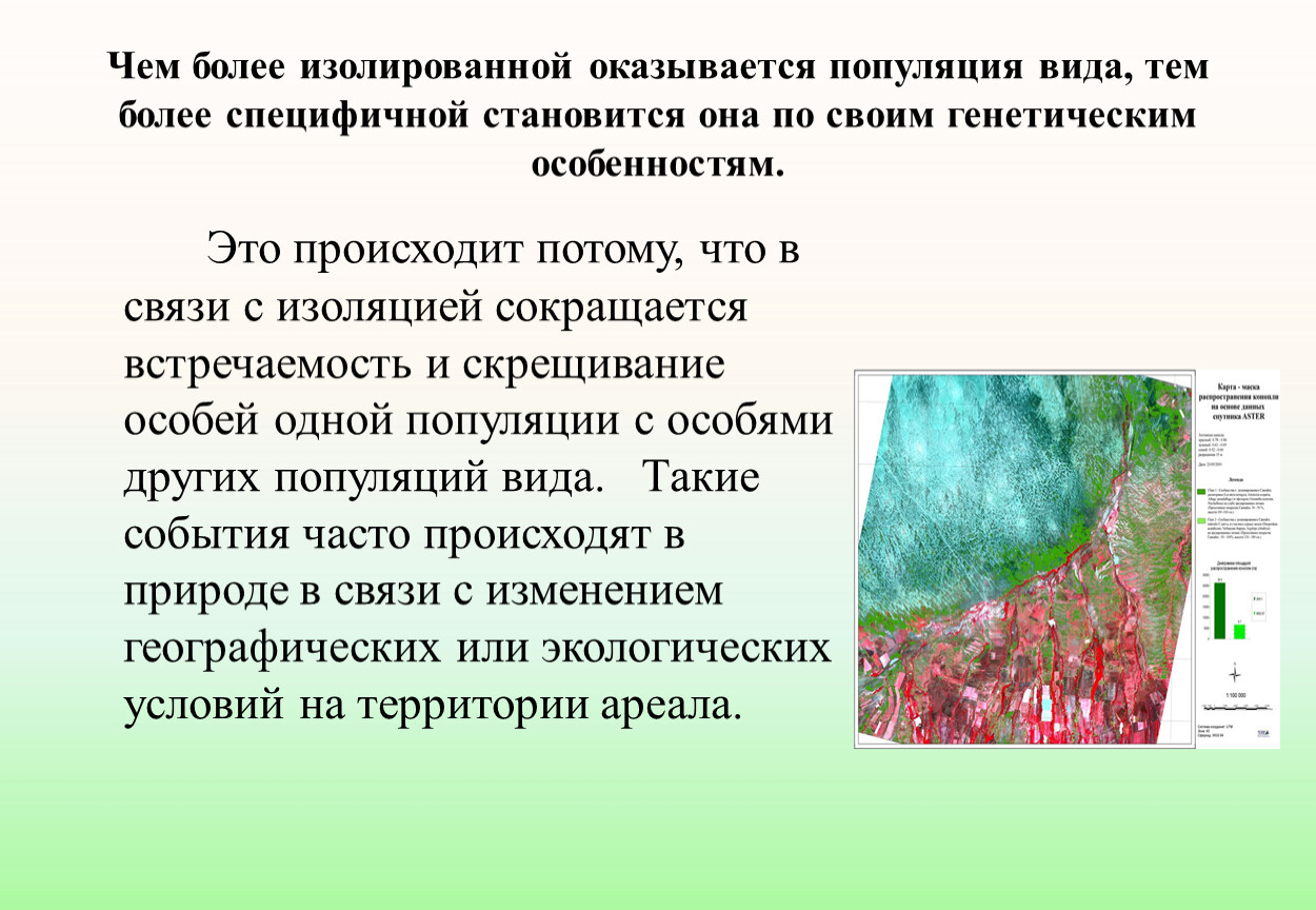 Презентация популяция как единица эволюции 10 класс презентация