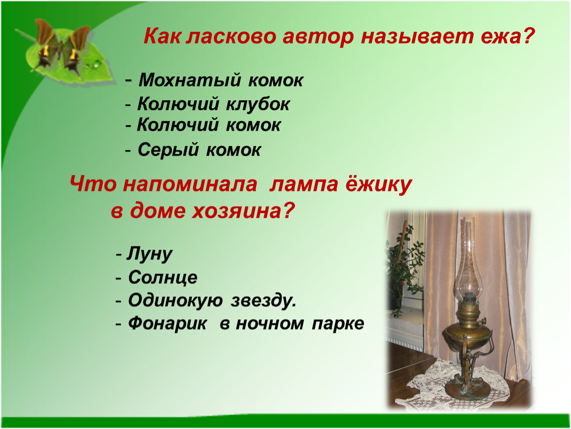 Какого человека можно назвать заботливым. Рассказ Пришвина еж презентация. Как ласково назвать Ёжика. Назови ласково еж.