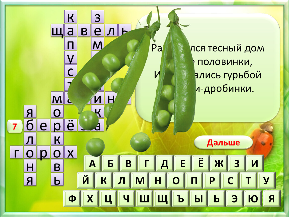 Длинное слово цветок. Найди слова растения. Кроссворд про цветы с ответами. Кроссворд с вопросами строение клетки 10 слов растительная клетка.