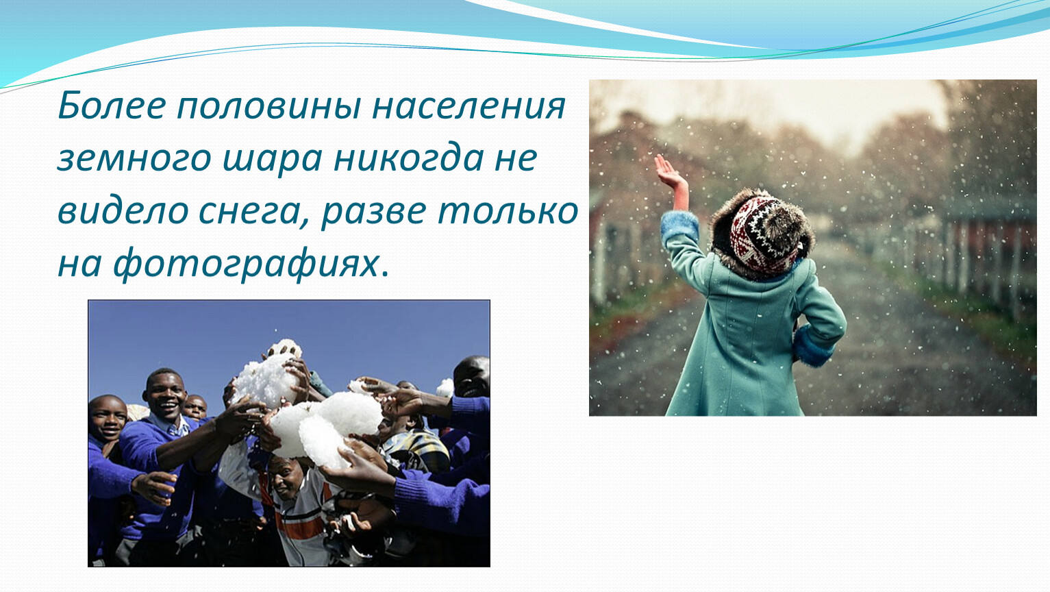 Половина видел. Никогда не видели снега. Половина населения никогда не видела снега. Половина населения земли не видели снег. Сколько процентов земли не видели снега.