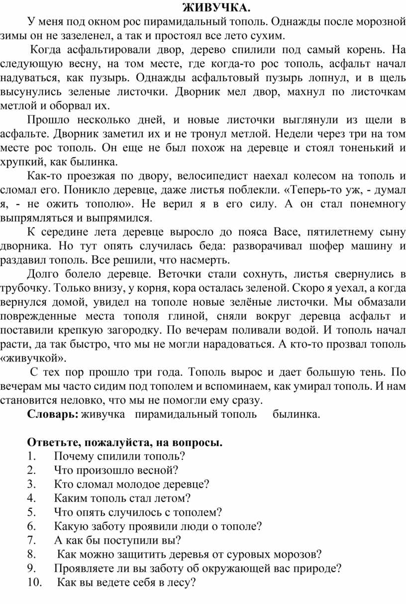 ЖИВУЧКА. У меня под окном рос пирамидальный тополь