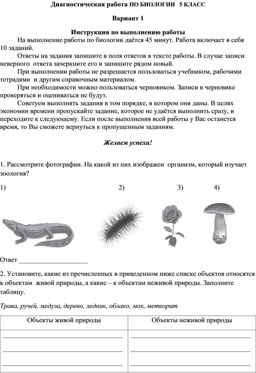 Диагностическая работа по биологии в формате ВПР. 5 класс. 1-2 вариант.