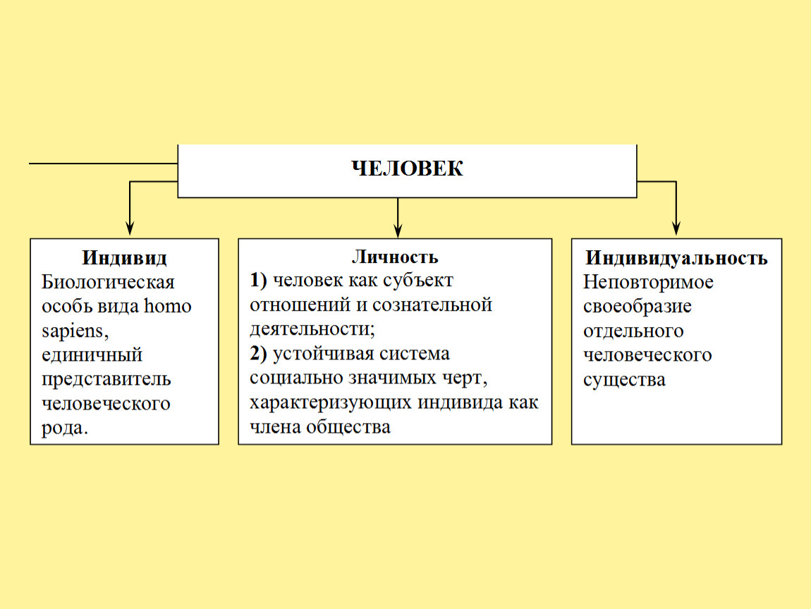 Презентация на тему индивид индивидуальность личность