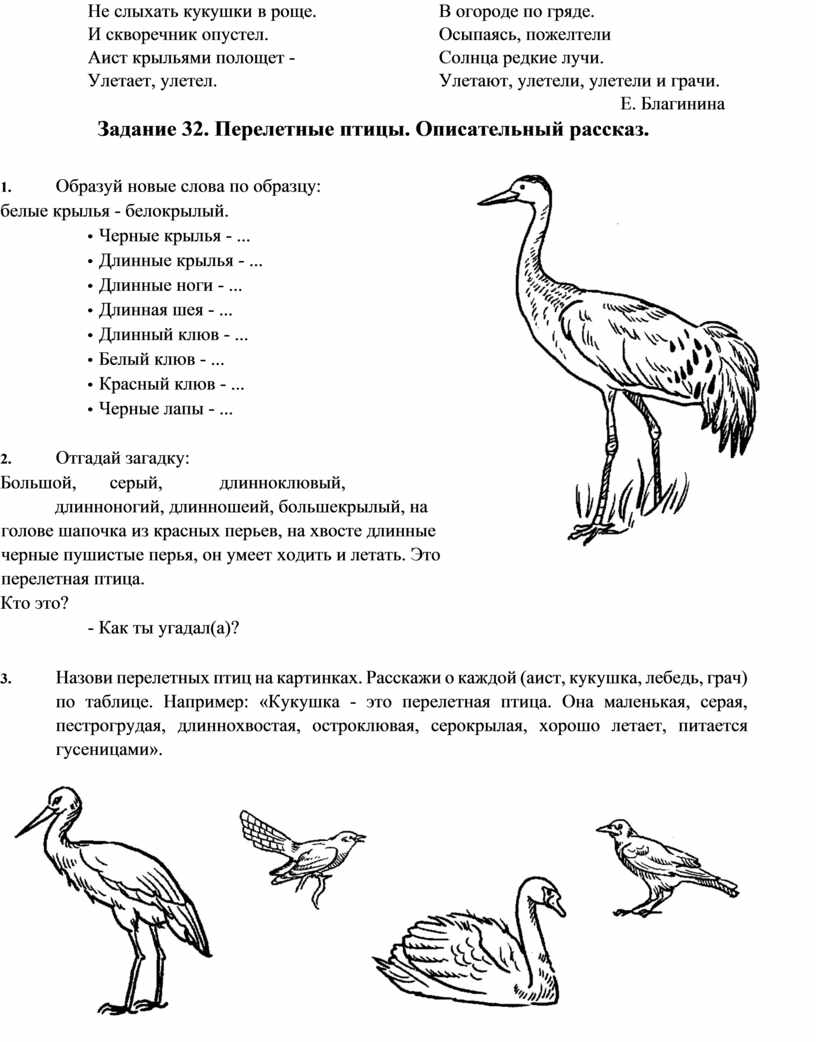 Конспект логопедического занятия перелетные птицы. Перелетные птицы логопедические задания.