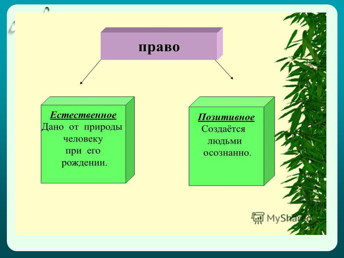 Природное право человека