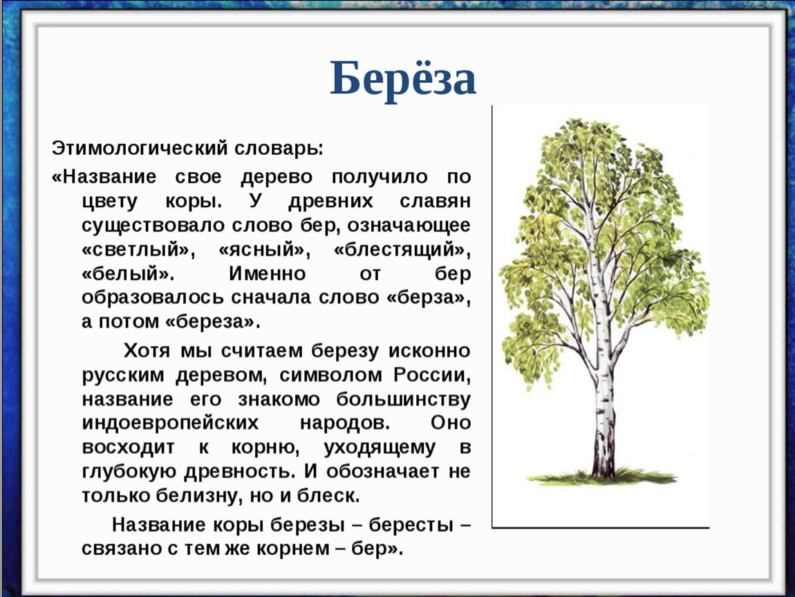 Доклад, рассказ, сообщение про луг как написать для 1-4 классов, где найти?