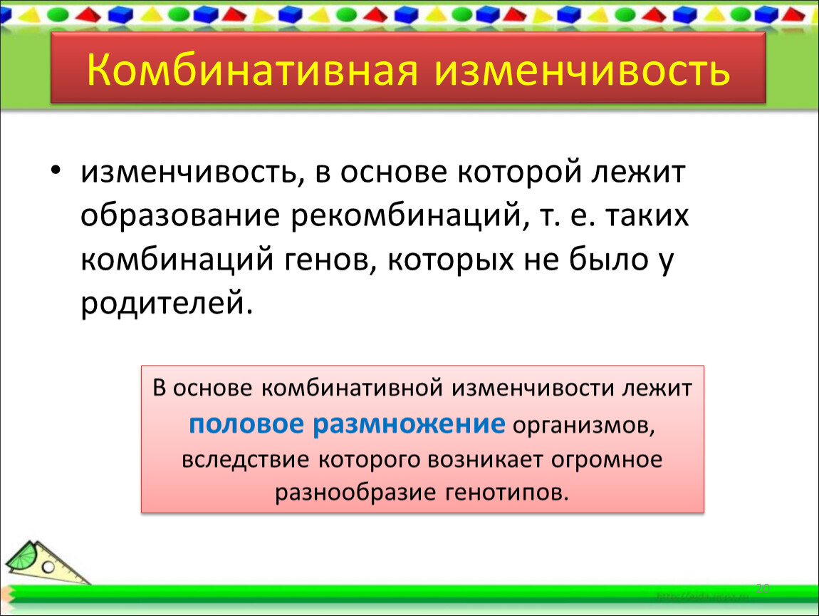 Презентация 9 класс биология комбинативная изменчивость