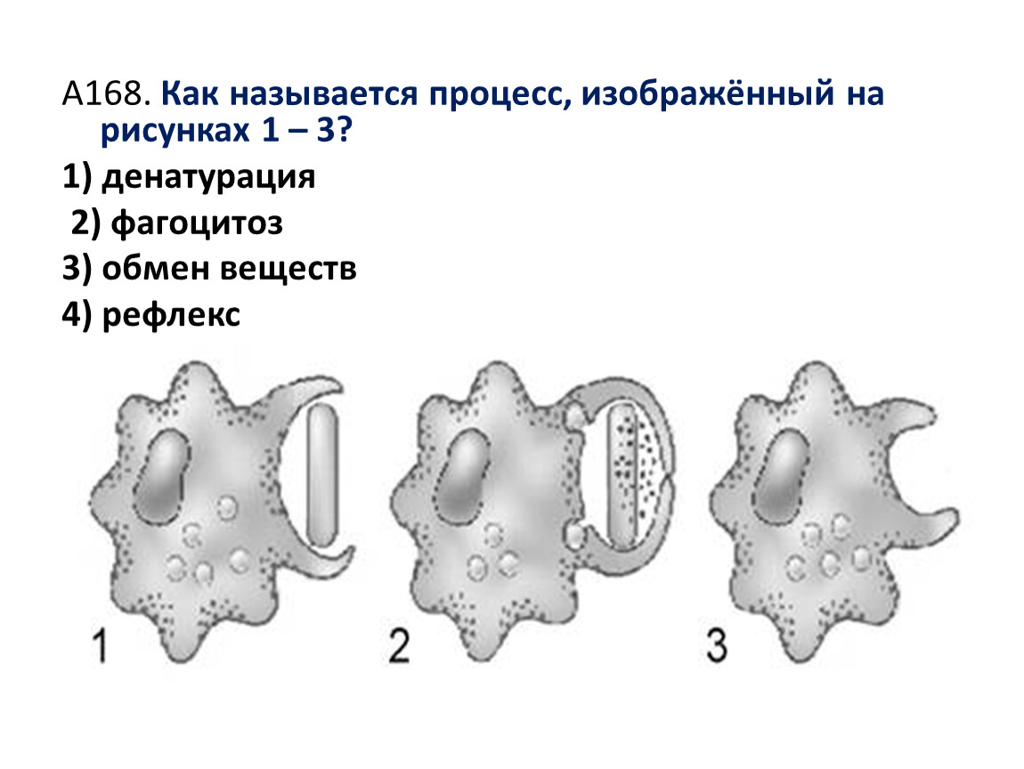 Какой процесс изображен на рисунке 1