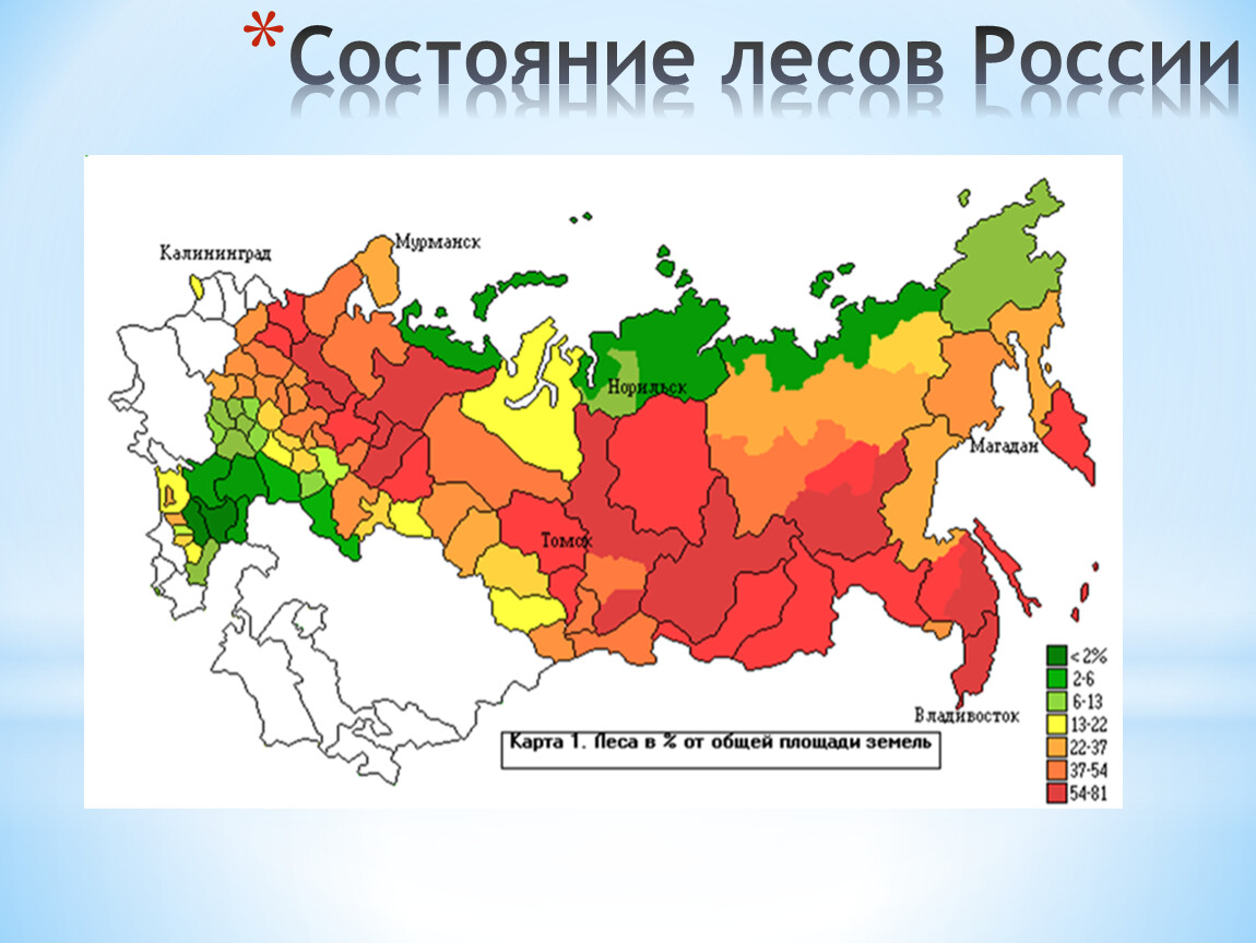 Карта россии с лесами