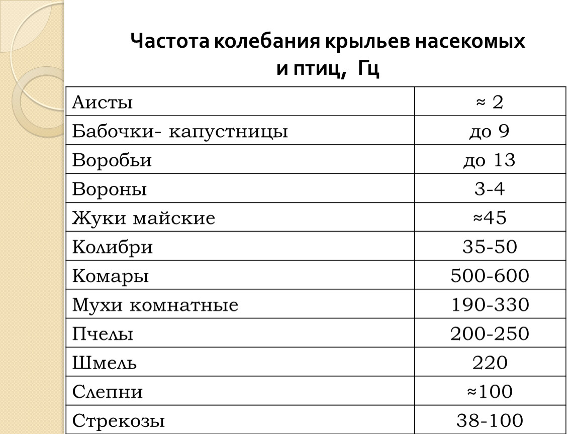 Частота взмахов крыльев насекомых. Частота колебаний крыльев насекомых и птиц в полете. Частота колебаний крыльев насекомых. Частота колебания крыльев насекомых и птиц, Гц. Частота колебаний крыльев птицы.