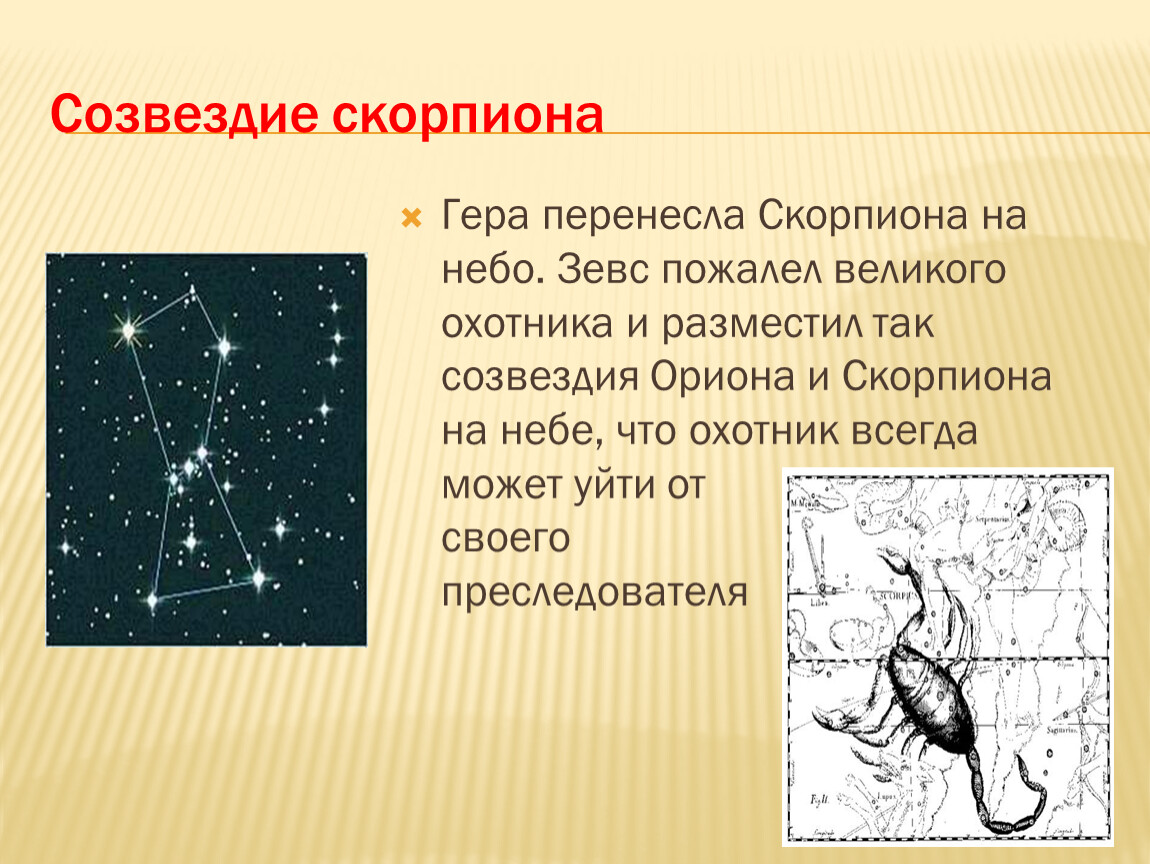 Проект по астрономии звезды и созвездия