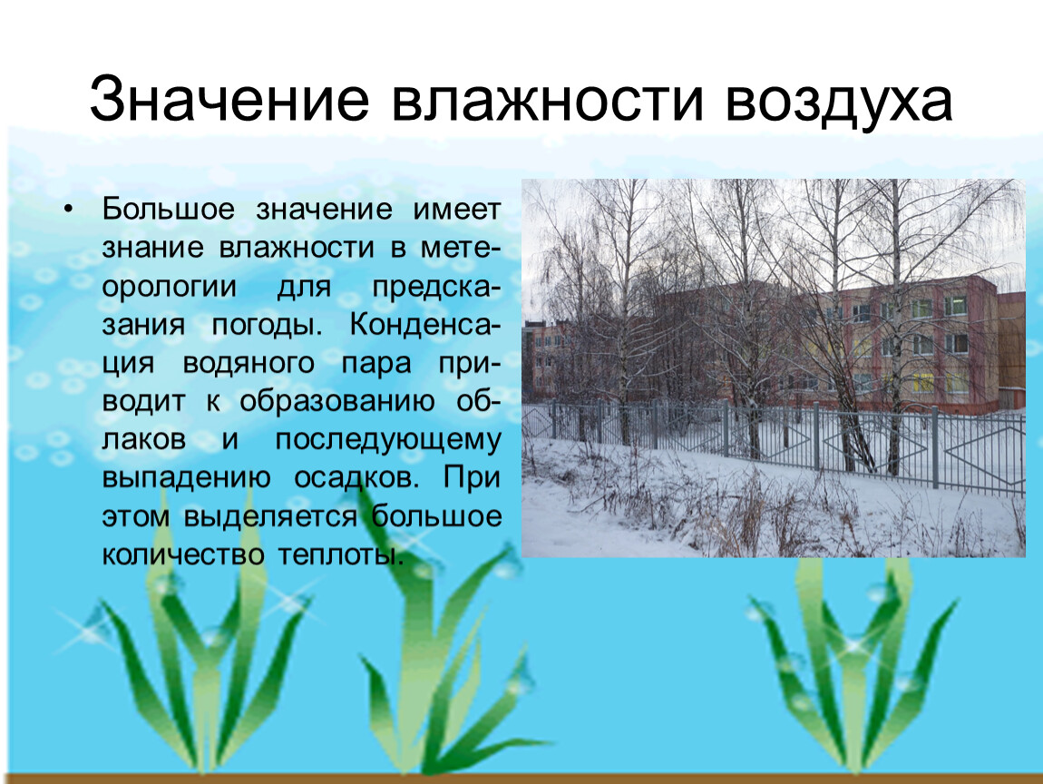 Презентация значение влажности в жизни человека