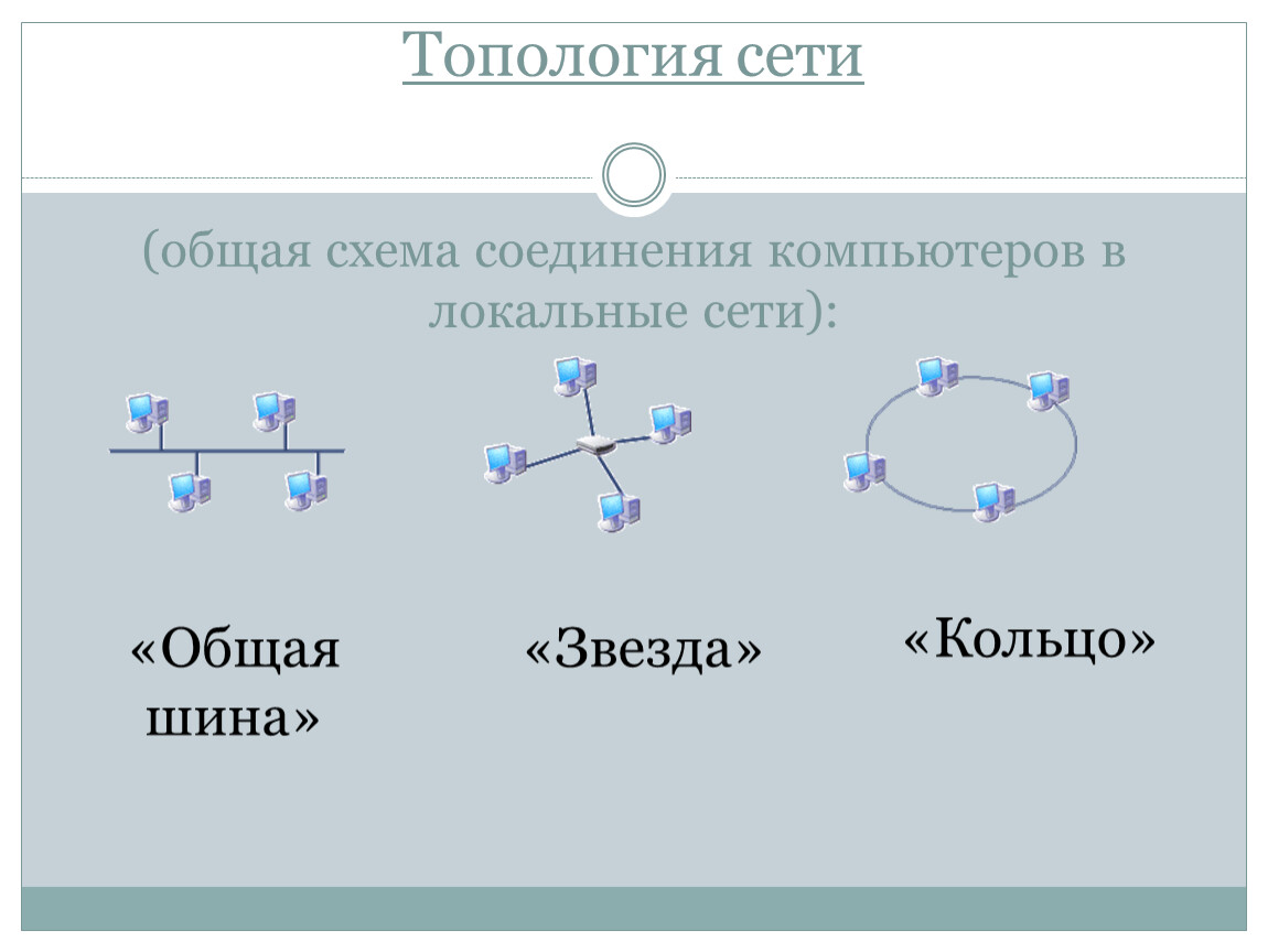 Общая схема соединения компьютеров в сети. Схема топологии сети. Общая шина звезда. Урок про локальные топологии. Общая сеть.