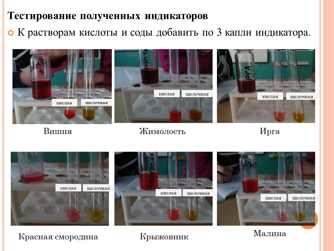 Раствор соды добавили к растворам. Испытание растворов индикаторами. Испытание растворов кислот индикаторами. Испытание растворов щелочей индикаторами. Испытание растворов кислот индикаторами таблица.