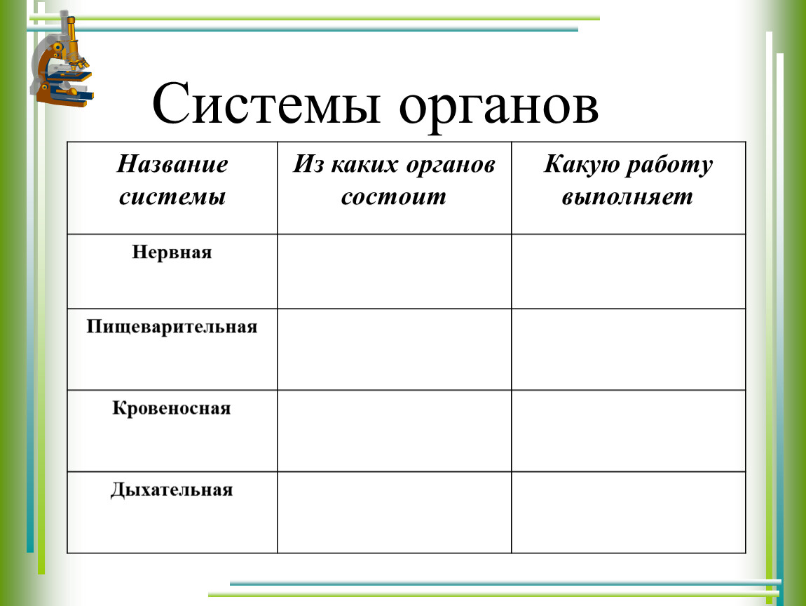 Система органов 3 класс окружающий мир. Название системы органов человека 3 класс. Системы органов человека 3 класс окружающий таблица. Системы органов человека 3 класс. Система органов это 3 класс.