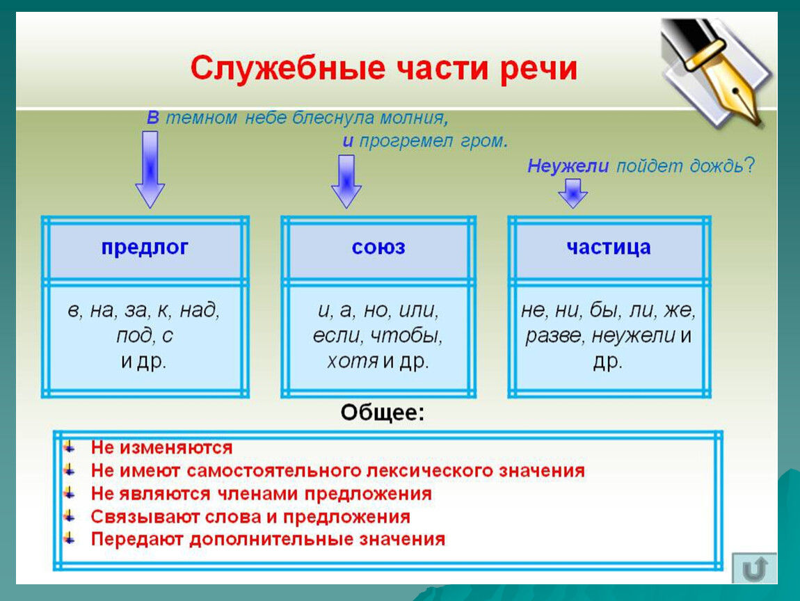 См частицы. Что такое служебные части речи в русском языке 5. Служебные части речи в русском языке 7 класс. Служебные части речи в русском языке 6 класс. Служебные части речи в русском языке 5 класс.