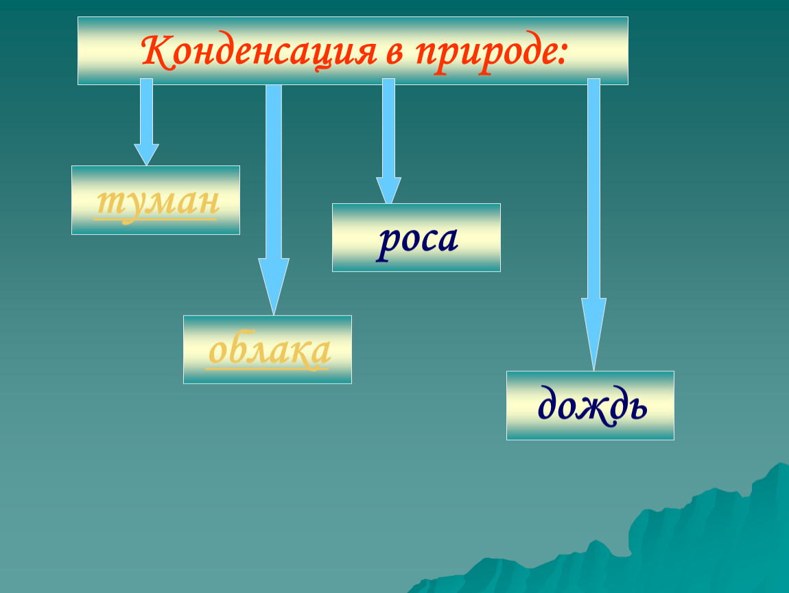 Испарение и конденсация в живой природе проект