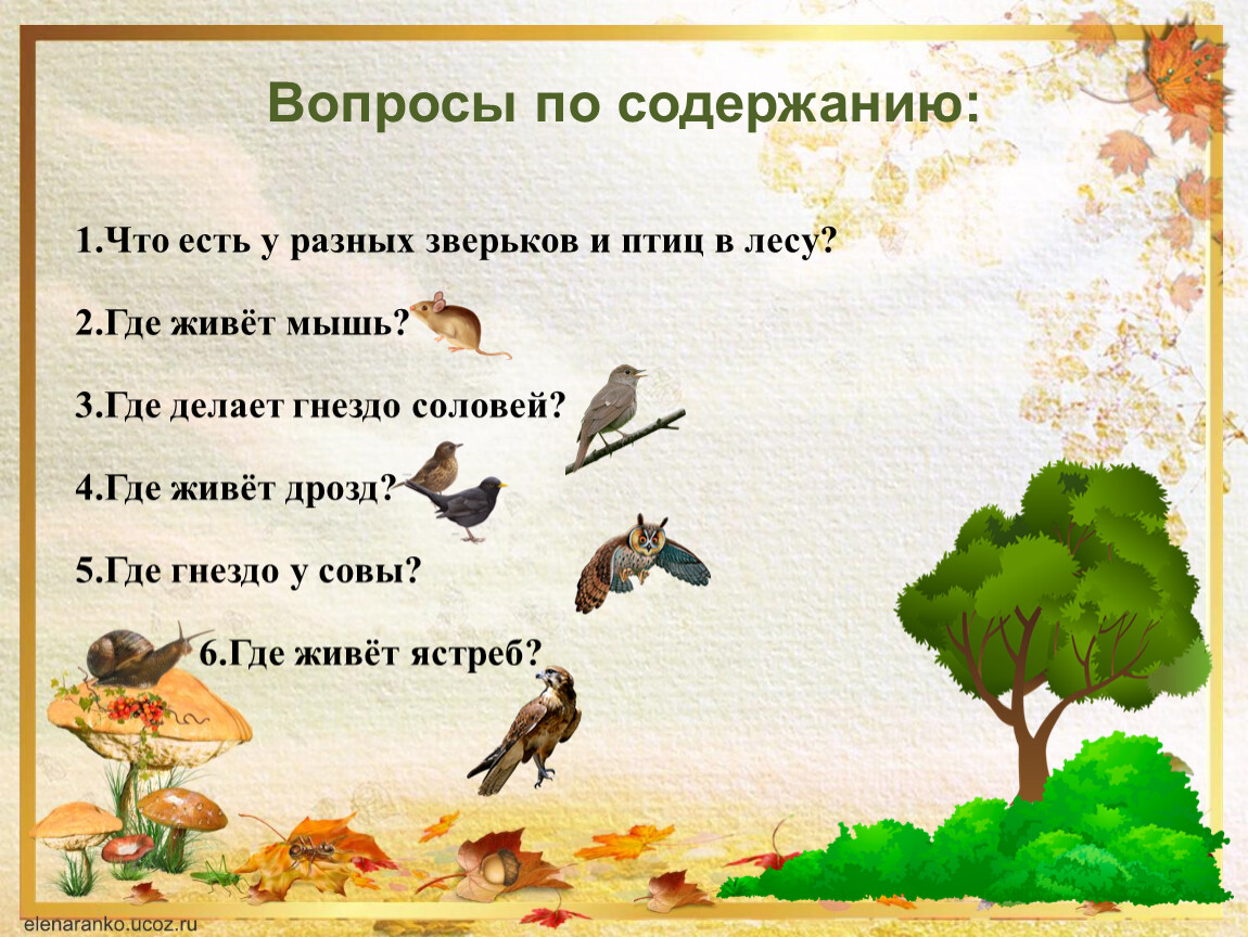 Вопросы по содержанию: 1.Что есть у разных зверьков и птиц в лесу? 2
