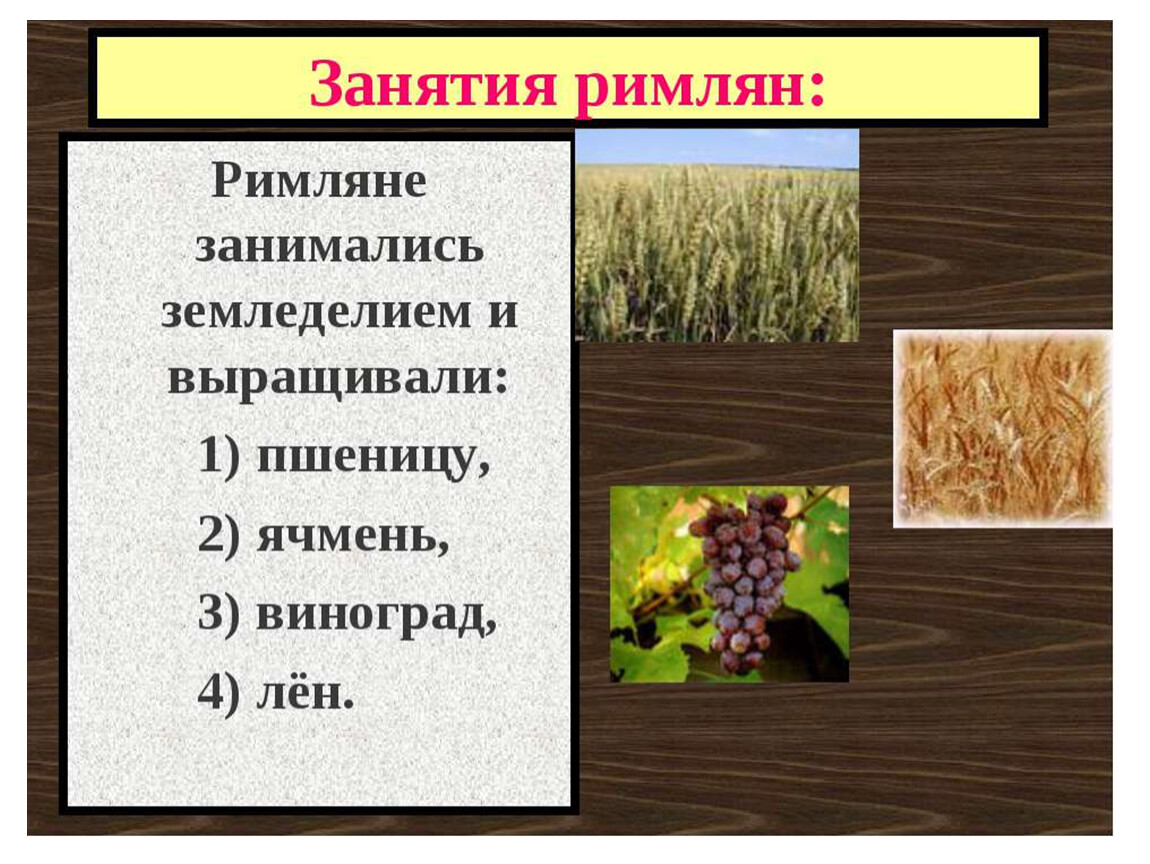 Занятия древние римляне. Основные занятия римлян. Занятия древних римлян. Основные занятия древних римлян. Основные занятия древнего Рима.