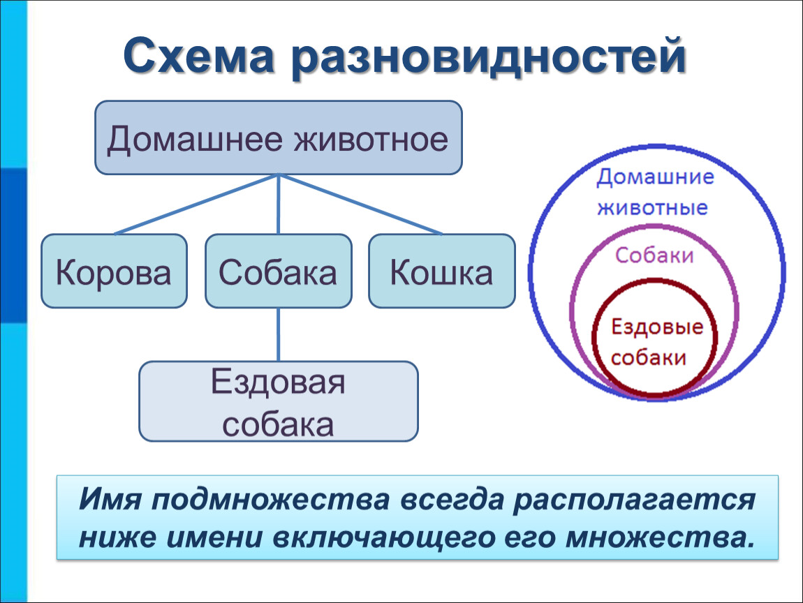 Всегда схема. Схема разновидностей. Схема является разновидностью. Разновидности объектов и их классификация. Схема разновидностей объектов.