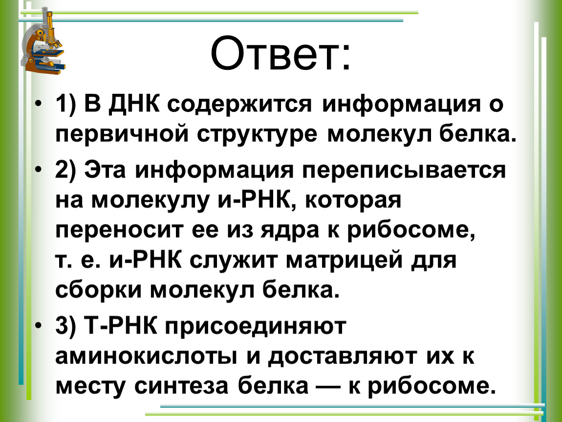 Днк содержит информацию о белках. Содержит информацию о первичной структуре белка. В молекуле ДНК содержится информация о первичной структуре белков. Информация о первичной структуре молекул белка зашифрована. Информация о строении молекулы белка содержит.