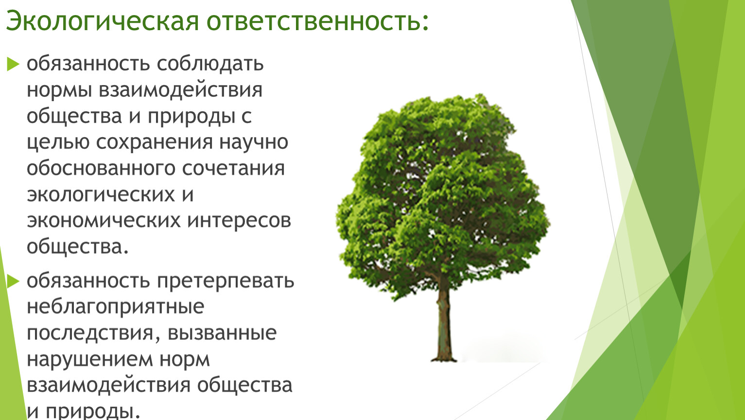 Экологические понятия и виды. Экологическая ответственность. Экология ответственность. Экологические обязанности. Экологическая ответственность человека.