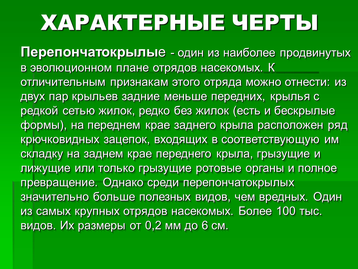 Отряд насекомых перепончатые