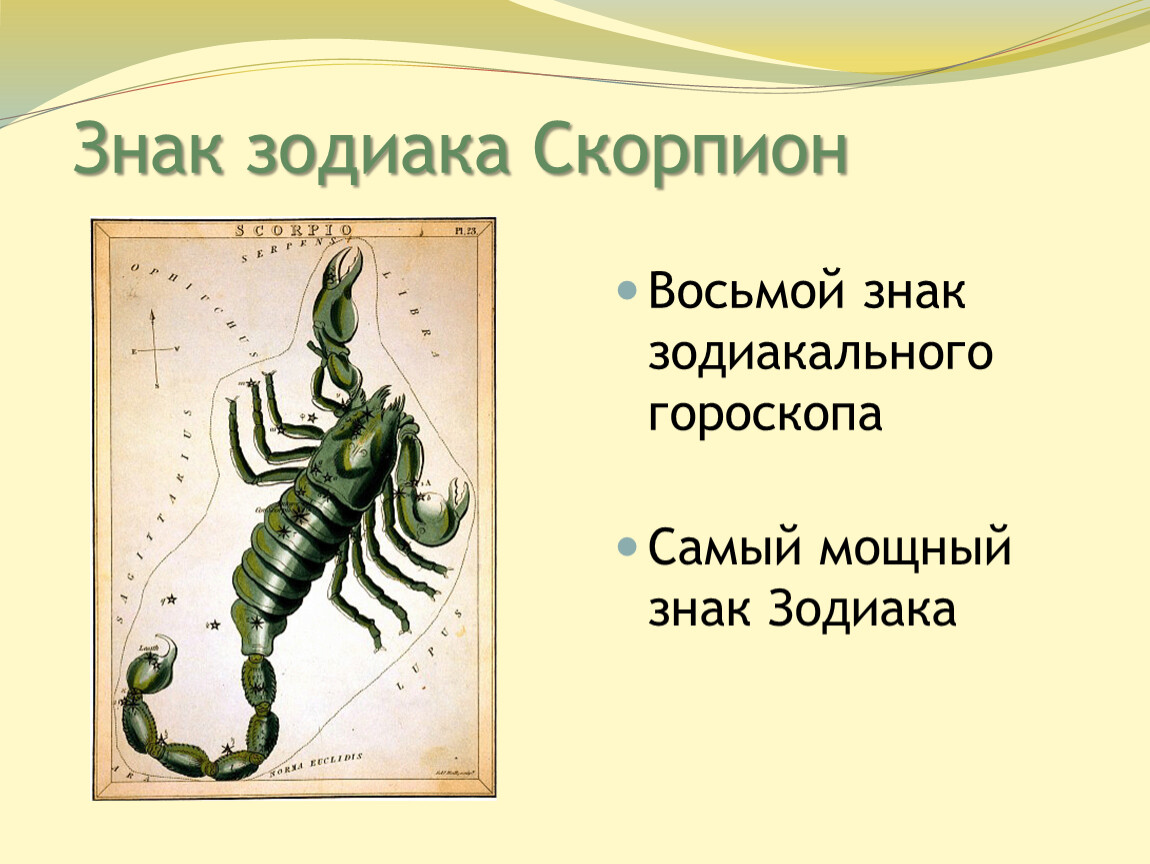 Гороскоп скорпион на 8 апреля