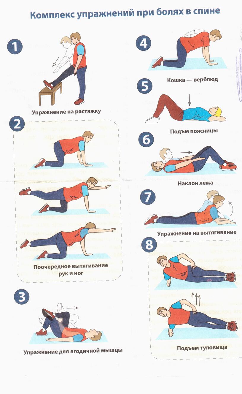 Схема боли в спине. Комплекс упражнений при боли в спине. Упражнения на спину при болях в спине. Упражнения при болях в спине и пояснице. Лечебная физкультура при болях в спине.