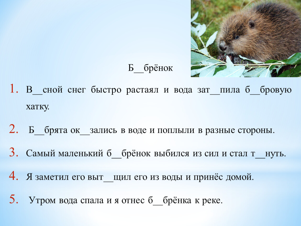 Рассказ снегирева бобровая хатка. Снег быстро растаял падеж. Сной. Прочитайте текст, разбейте его на предложения.растаял снег вода зат. Прочитай рассказ Снегирева упругая хатка запиши план.