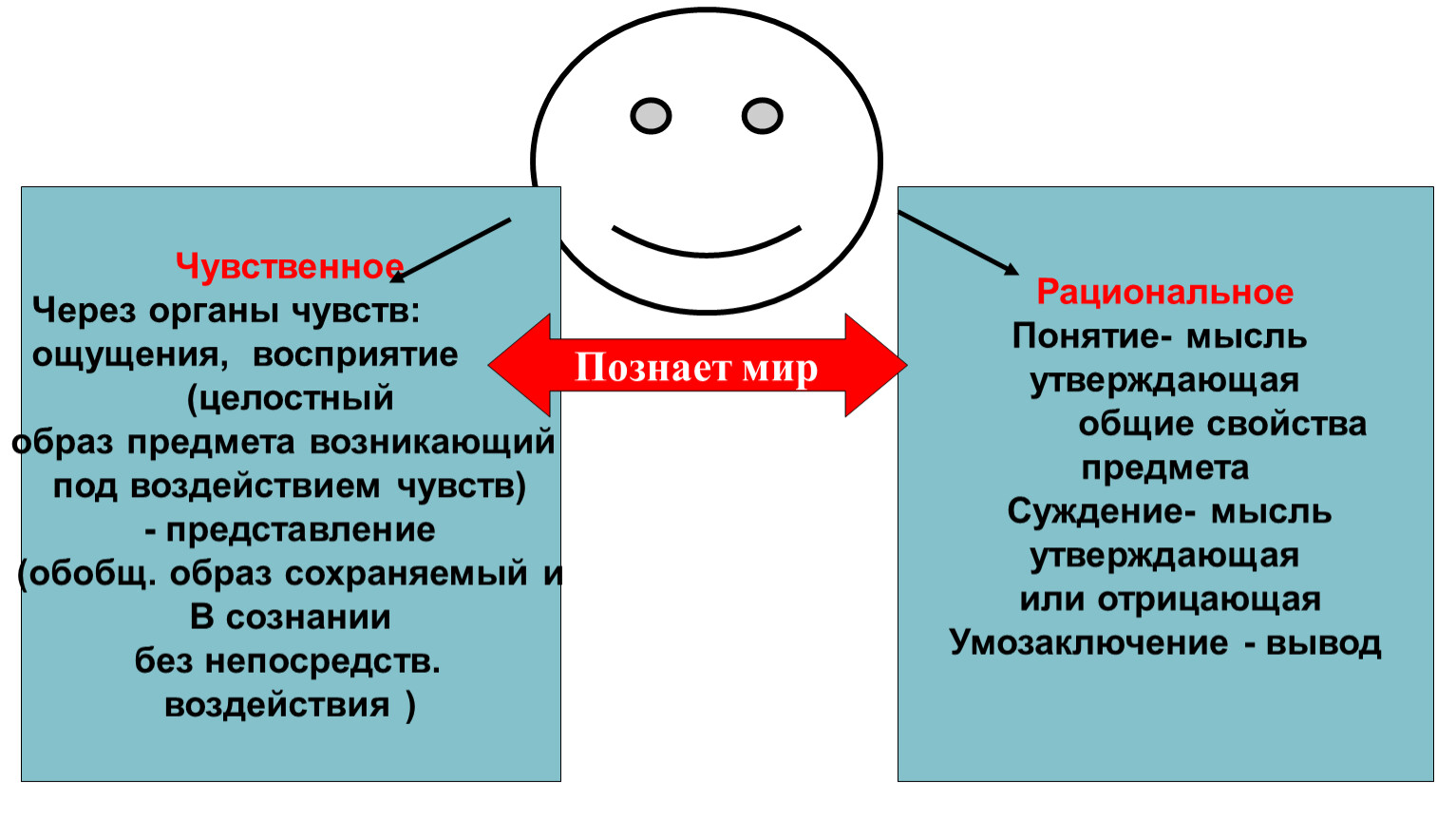 Восприятие суждения ощущение представление