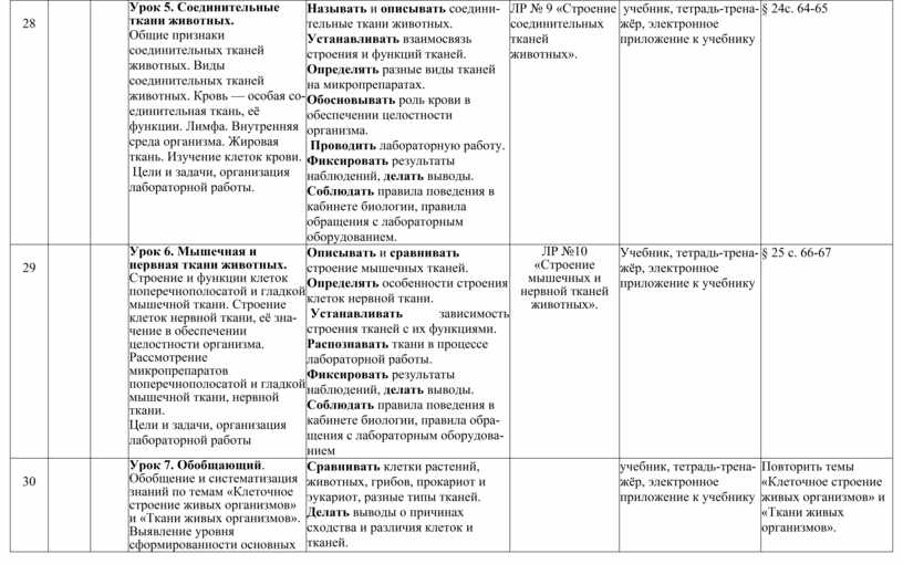 Урок 5. Соединительные ткани жи­вотных