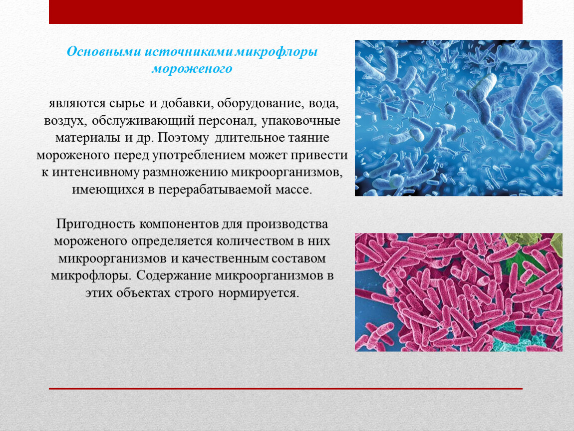 Проект микрофлора воздуха