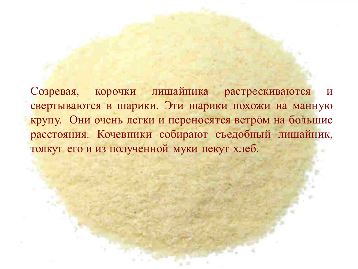 Манн синдром манной крупы. Сыпь похожая на манную крупу. Каша похожа на шарики. Каша похожая на манную. Сыпь в виде манной крупы.