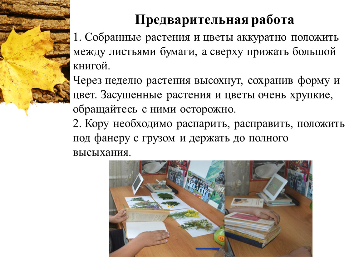 Положите аккуратнее. Предварительная работа. Предварительная работа пример. Предварительная работа по теме школа. Назначение предварительной работы.