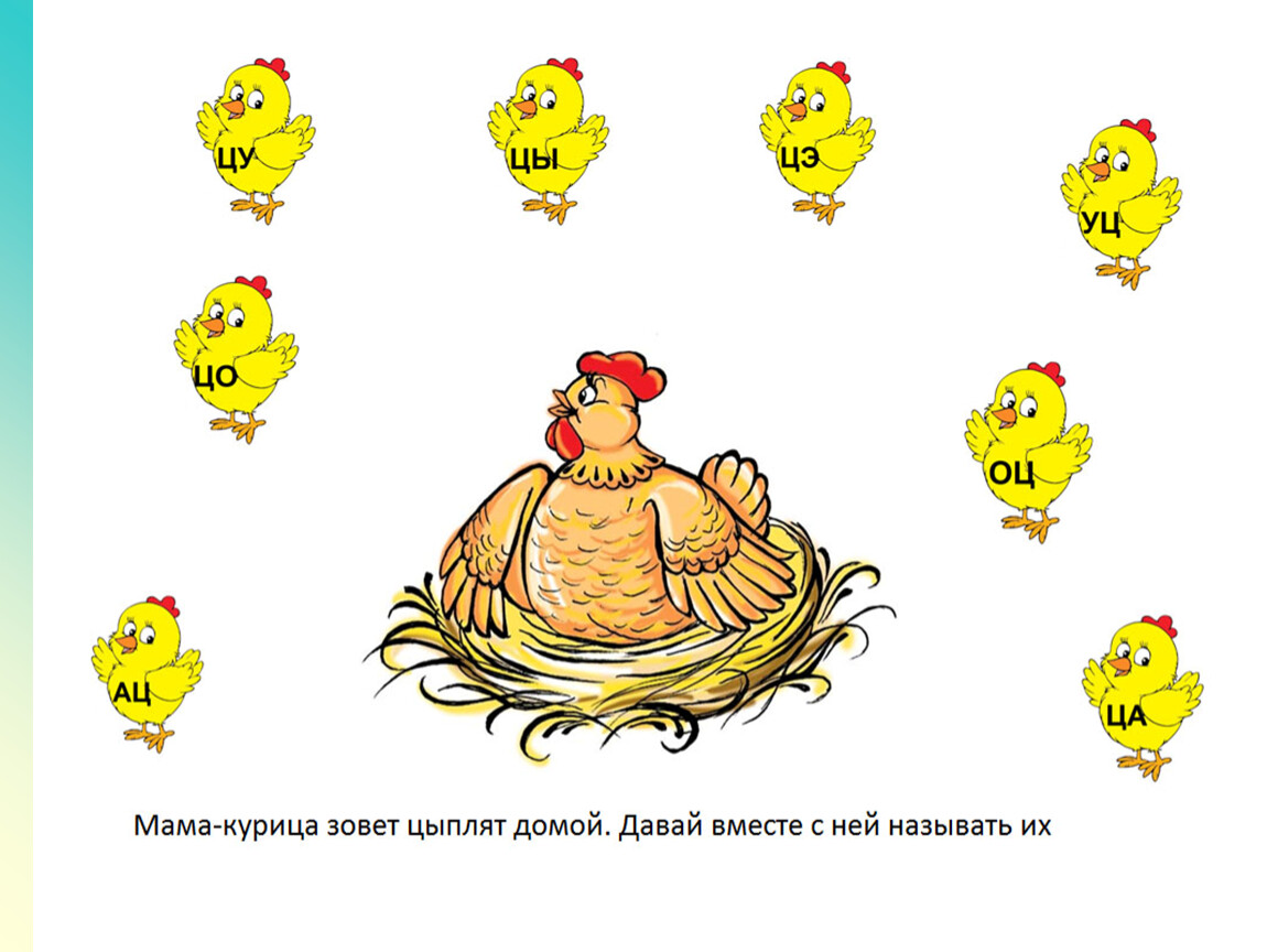 Ряд ц. Автоматизация звука ц в слогах. Курица с цыплятами задания для дошкольников. Автоматизация ц в слогах и словах. Автоматизация звука ц в слогах и словах интересные задания.