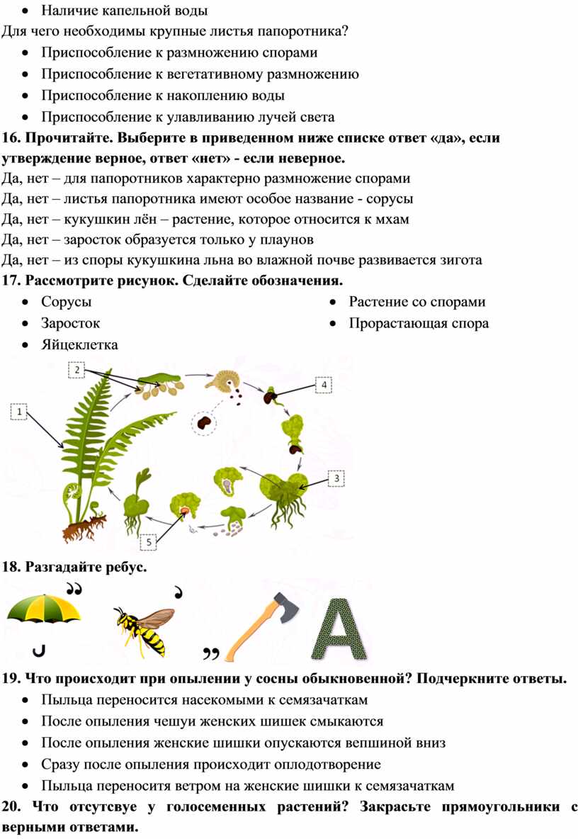 Задания по теме 