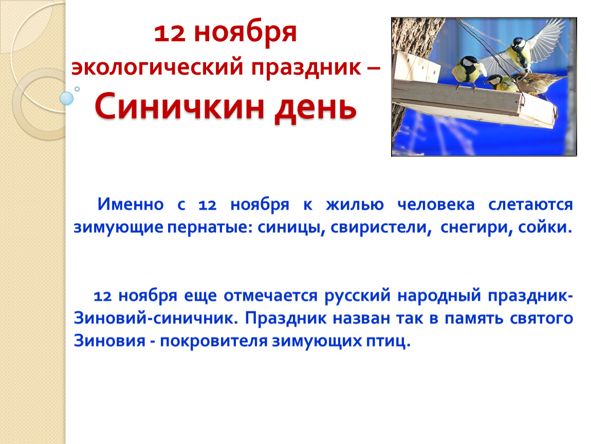 12 ноября какой. 12 Ноября Синичкин день история праздника. Почему Синичкин день так называется. Почему именно Синичкин день. 12 Ноября Дата.