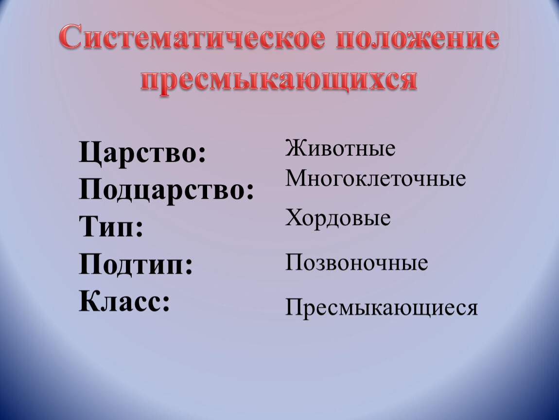 Классификация пресмыкающихся схема. Классификация рептилий схема. Систематика класса рептилии. Пресмыкающиеся систематика.