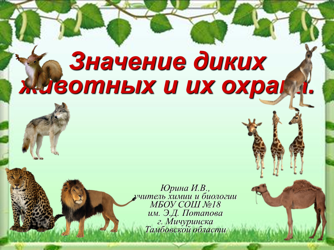 Дикая смысл. Презентация про диких животных. Дикие животные и их охрана. Значение диких животных. Обозначить диких животных.