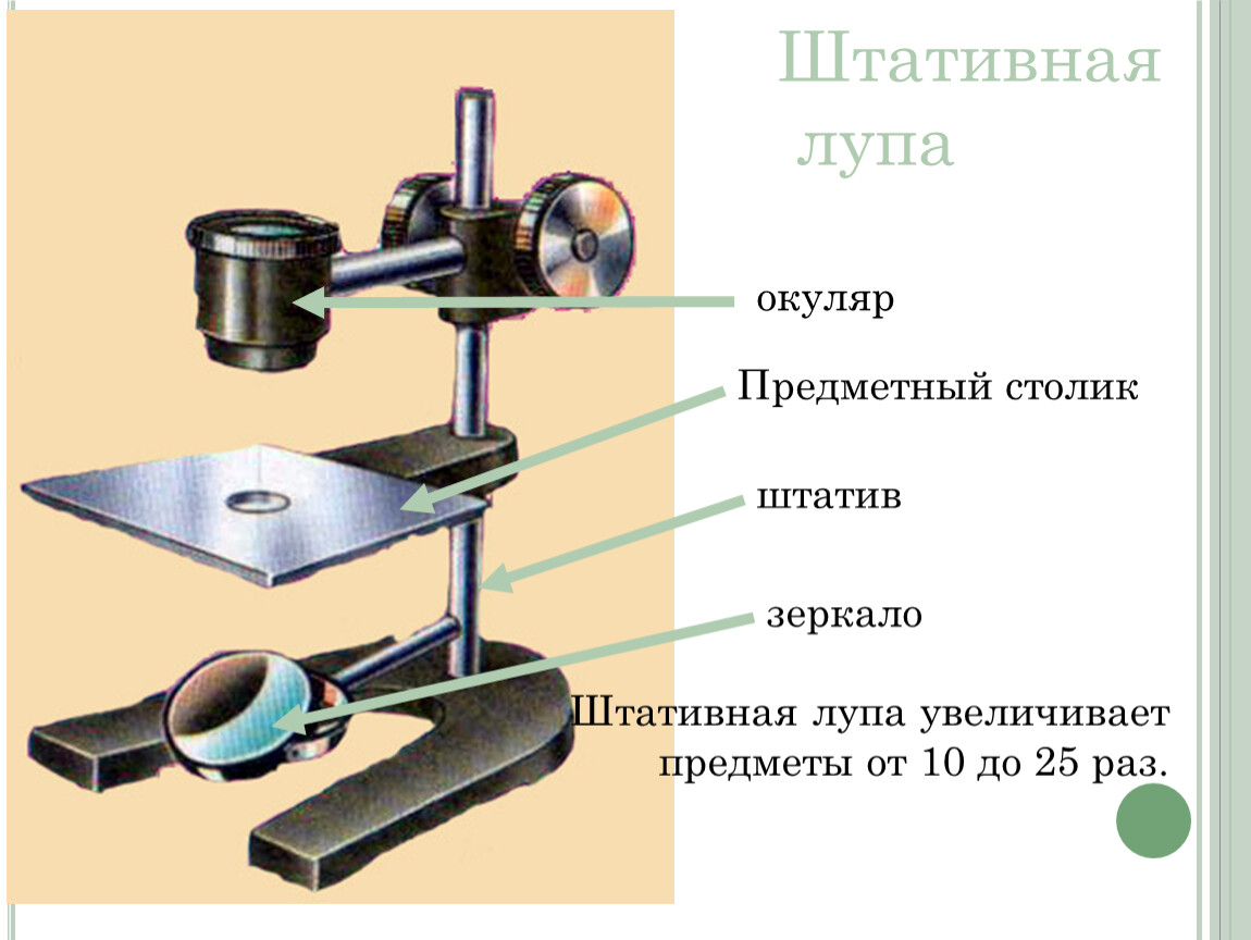 Схема штативной лупы