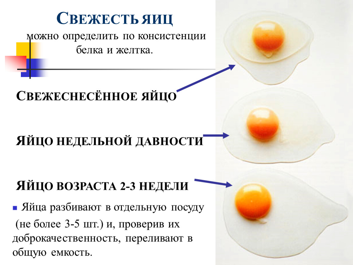 Как определить свежесть яиц в домашних