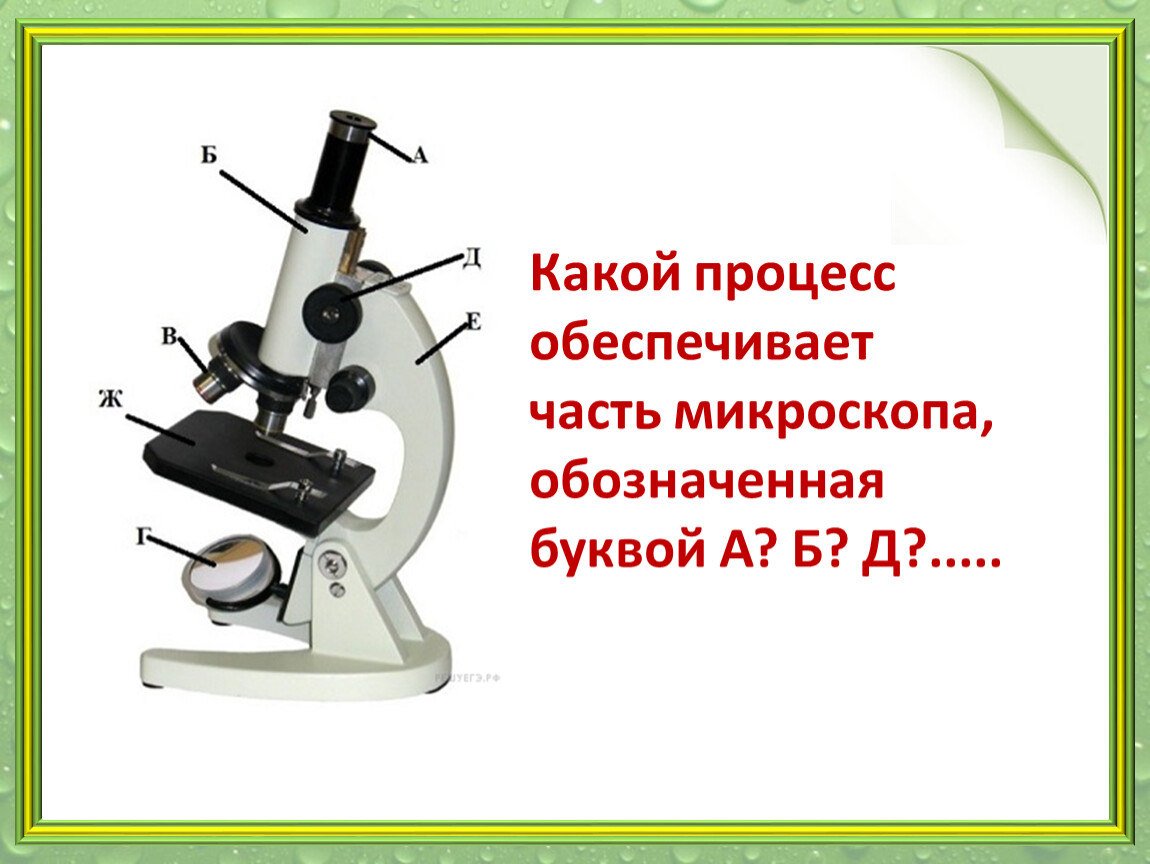 Какая деталь микроскопа обозначена буквой а впр. Микроскоп части микроскопа. Какой процесс обеспечивает часть микроскопа, обозначенная буквой в?. Строение микроскопа. Какой процесс обеспечивает часть микроскопа.