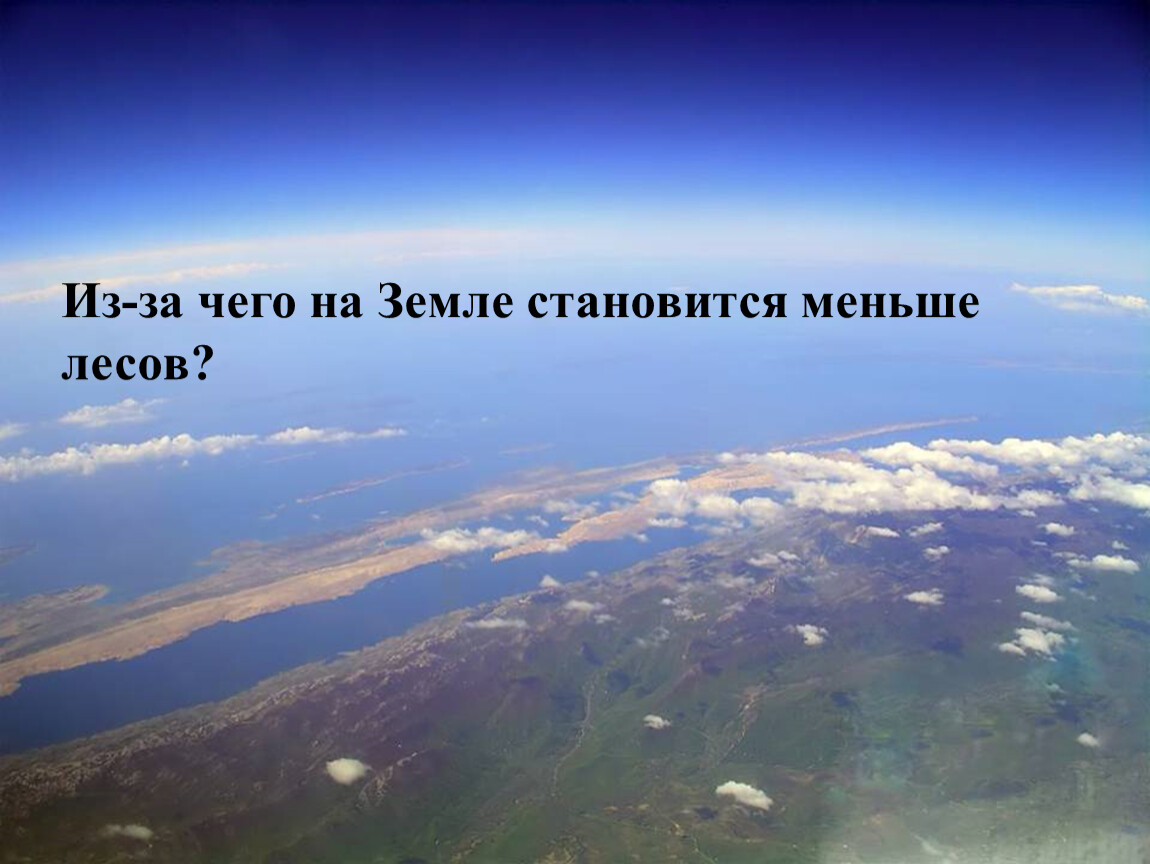 Как стать землю. Проект зоны охраны природы в нашем районе дворе. Статьи в Конституции об экологии. Что люди делают для спасения живой природы. План по спасению природы.