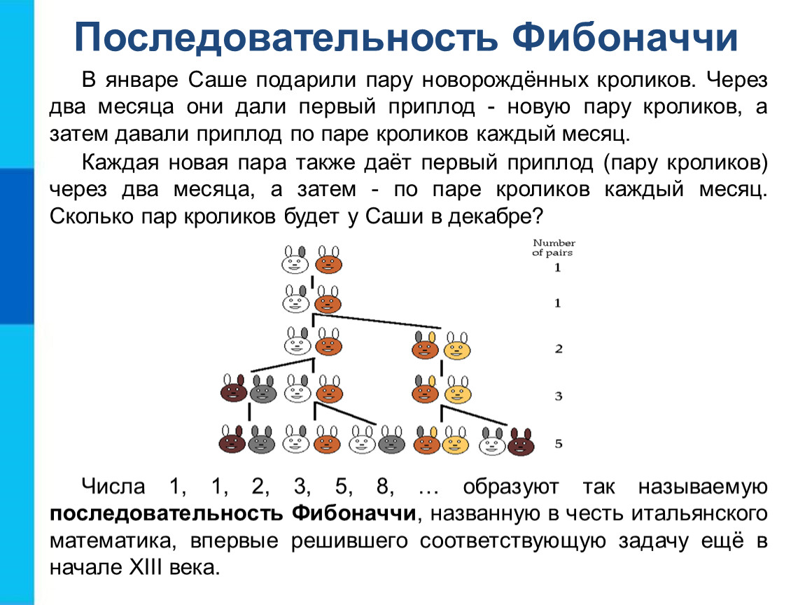 Решить соответствовать. Последовательность Фибоначчи. Задачи на ряд Фибоначчи. Ряд Фибоначчи кролики. Задачи с последовательностью Фибоначчи.