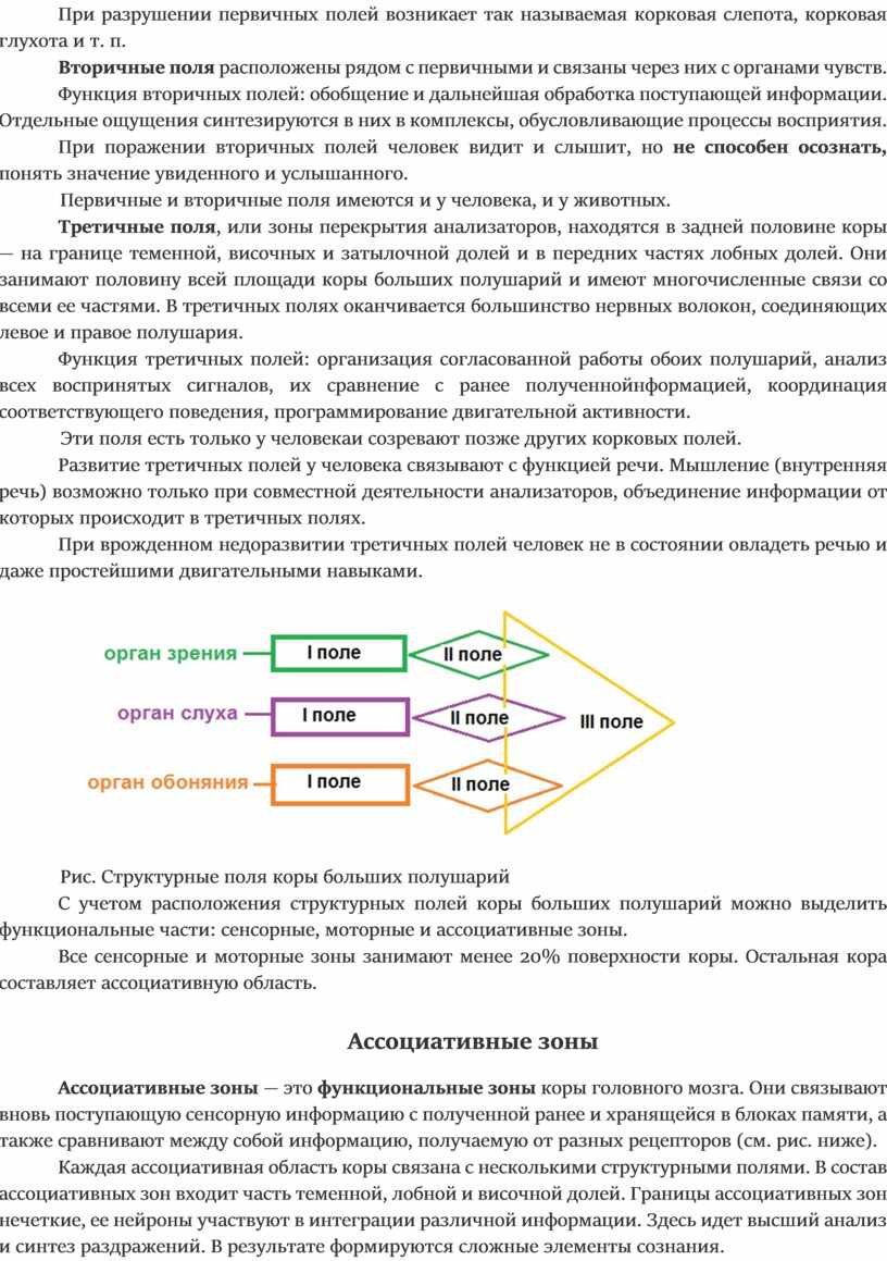 План характеристики человека 7 класс