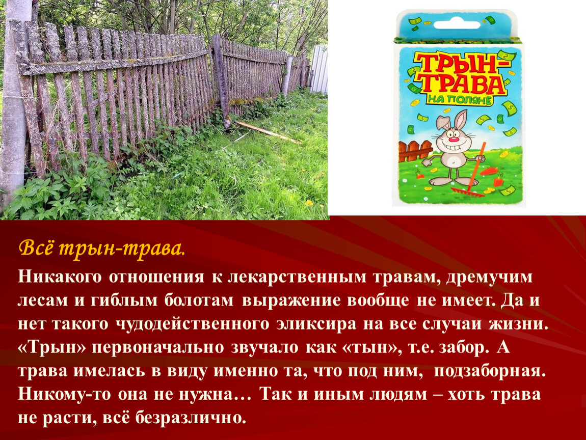 Трава фразеологизм. Дерн трава. Всё трын-трава. Трын-трава растение. Трын да трава.