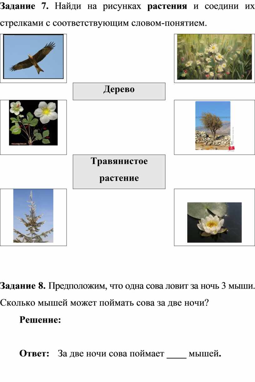 Итоговая комплексная работа 1 класс (вариант 3)