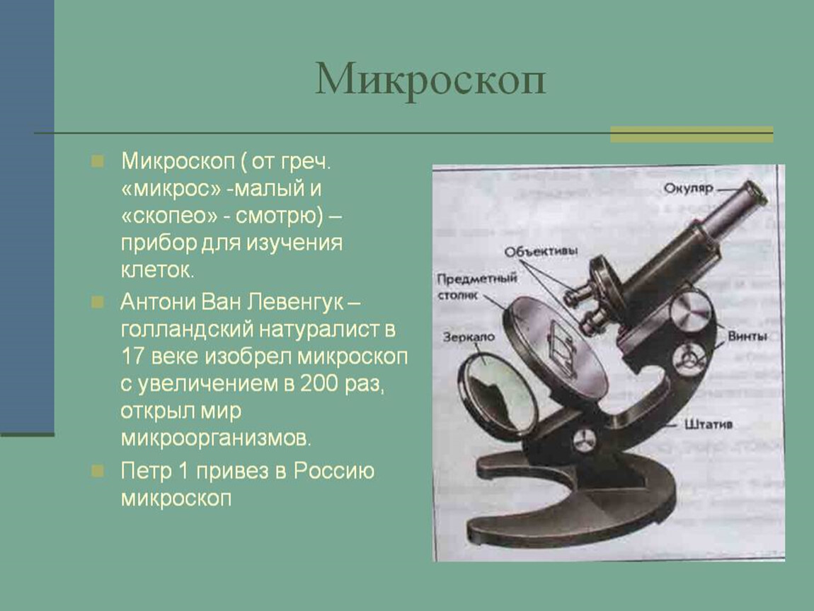 Презентация 5 класс микроскоп